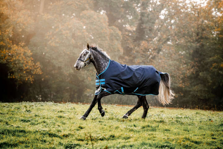 Horseware Outdoordecke Bravo 12 Turnout 50 g